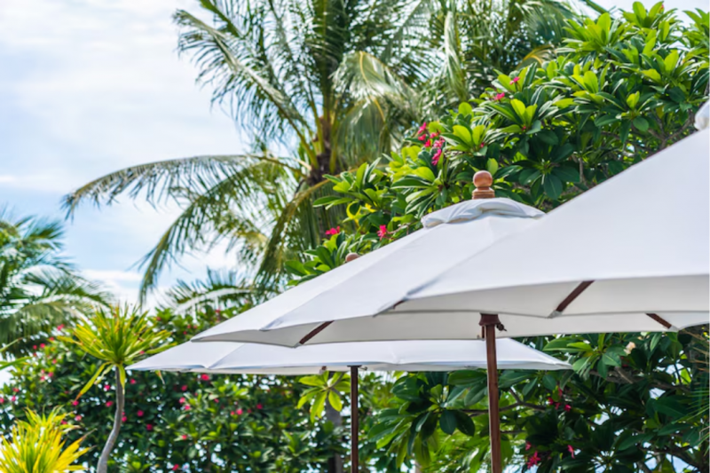 Toldo Retrátil para Quintal Como Escolher o Melhor para Seu Espaço Toldo Retrátil para Quintal Como Escolher o Melhor para Seu Espaço